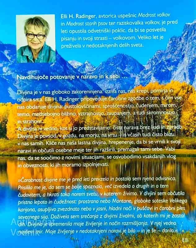 DARILO DIVJINE, Elli H. Radinger