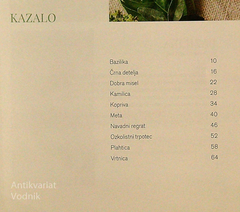 SANOLABORJEVA ZELIŠČNA ČAROVNIJA, Amanda Kladnik in Maja Žerovnik