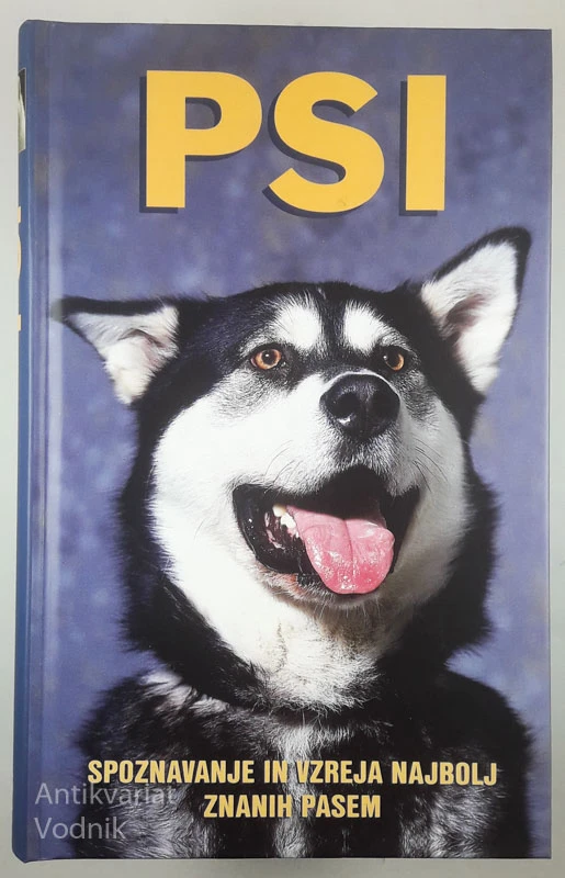 PSI, Rino Falappi