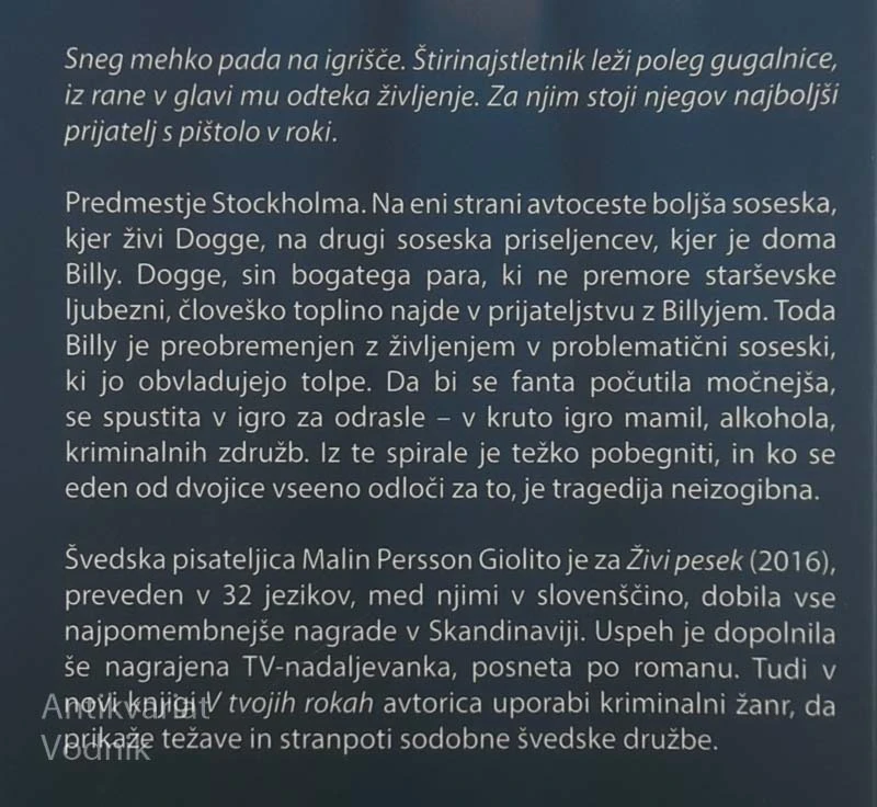 V TVOJIH ROKAH, Malin Persson Giolito