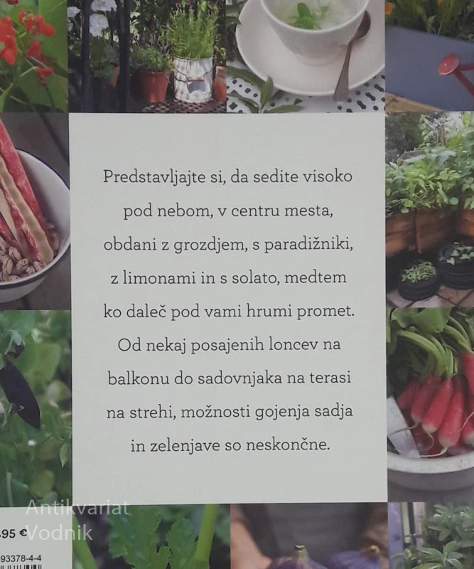 UŽITNI BALKON Alex Mitchell