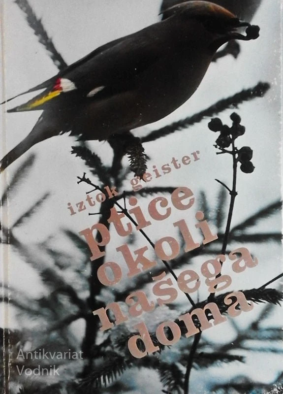 PTICE OKOLI NAŠEGA DOMA, Iztok Geister