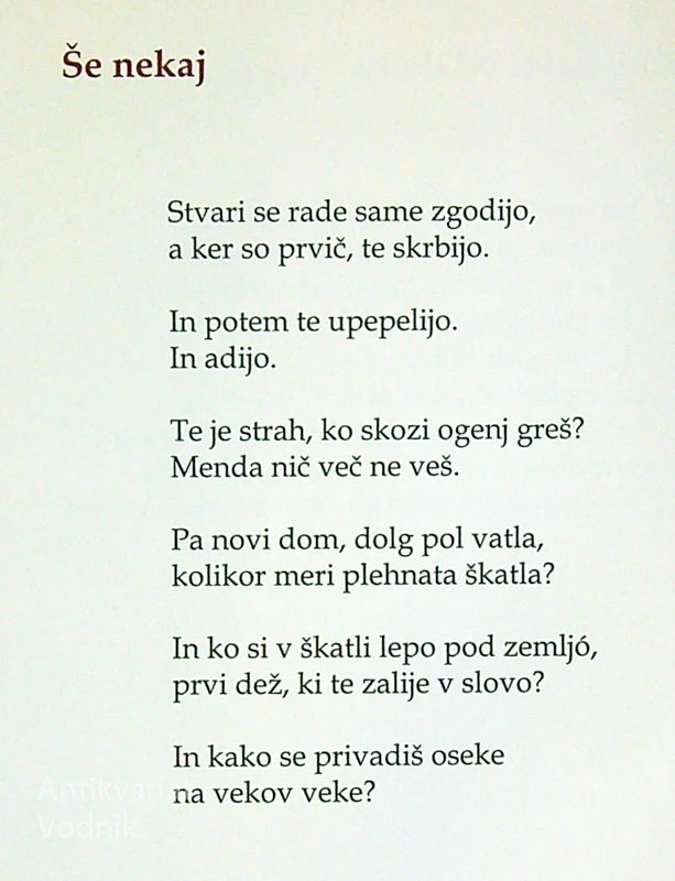 OBRAZEC ZA LAŽJE SLOVO, Ervin Fritz