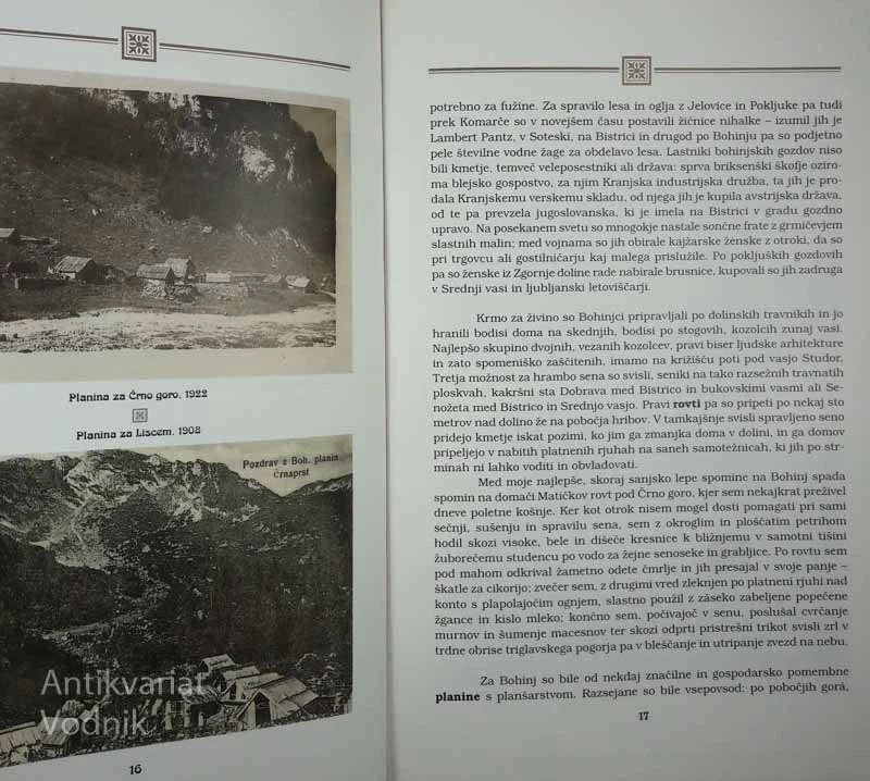 V SVETU ROŽE MOGOTE, Joža Mahnič & Matjaž Glavan