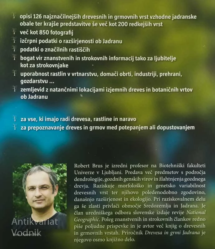 DREVESA IN GRMI JADRANA, Robert Brus