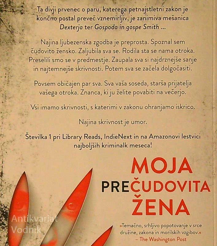 MOJA (PRE)ČUDOVITA ŽENA, Samantha Downing