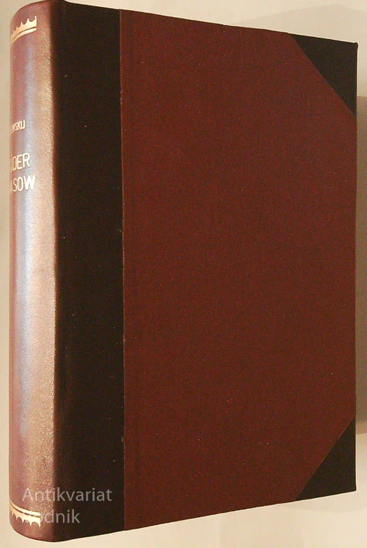 DIE BRUEDER KARAMASOW, F.M. Dostojewskij