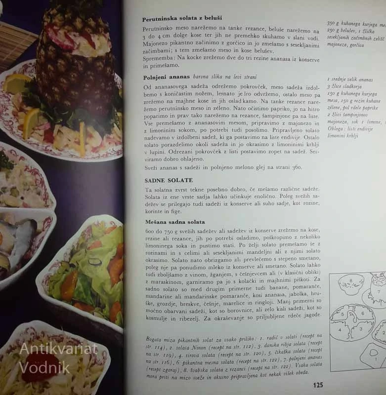 NOVA VELIKA KUHARSKA KNJIGA, R. Gööck