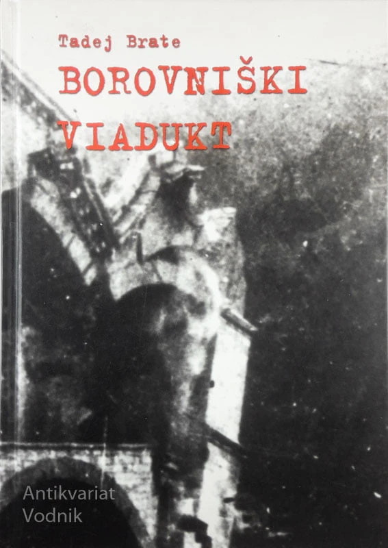BOROVNIŠKI VIADUKT, Tadej Brate