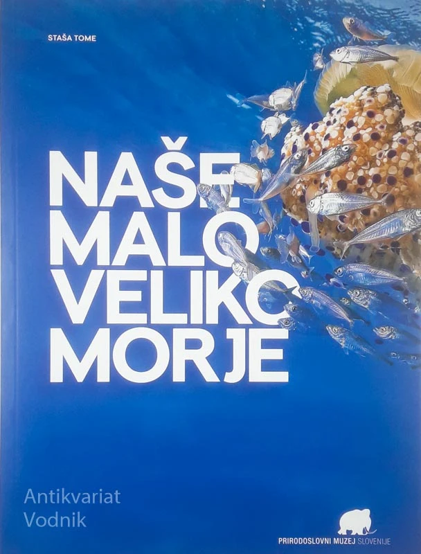 NAŠE MALO VELIKO MORJE, Staša Tome