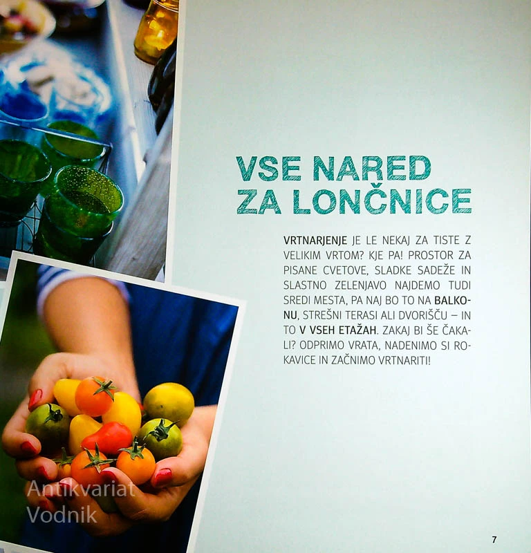 VRT NA BALKONU; MESTNO VRTNARJENJE ZA ZAČETNIKE, Mascha Schacht