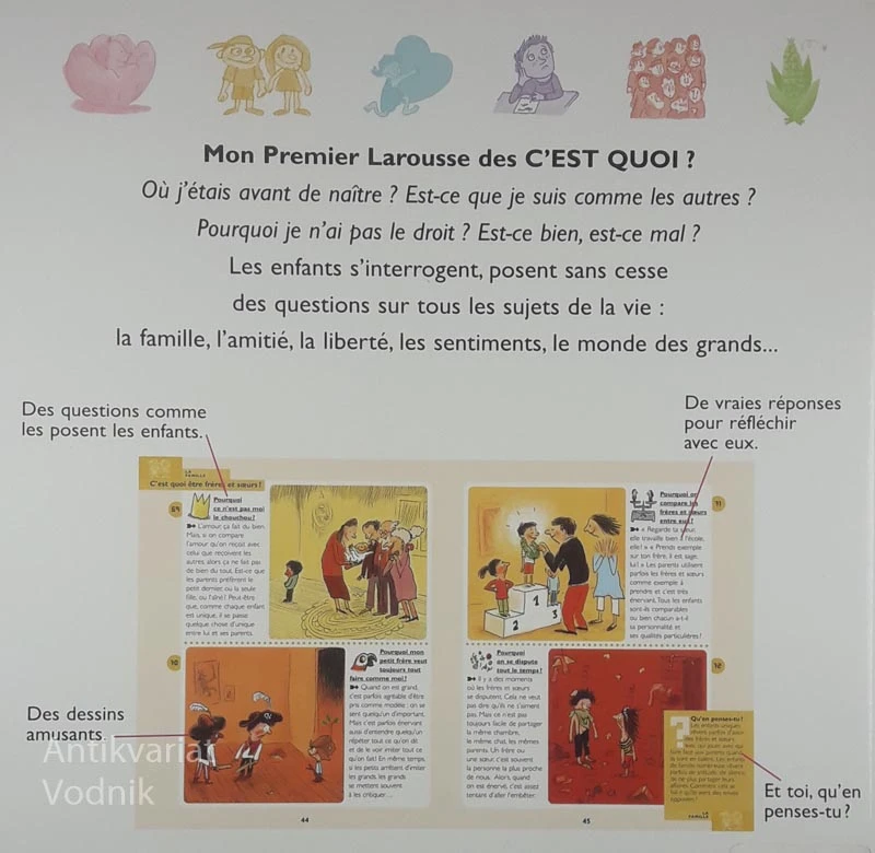 MON PREMIER LAROUSSE DES C’EST QUOI