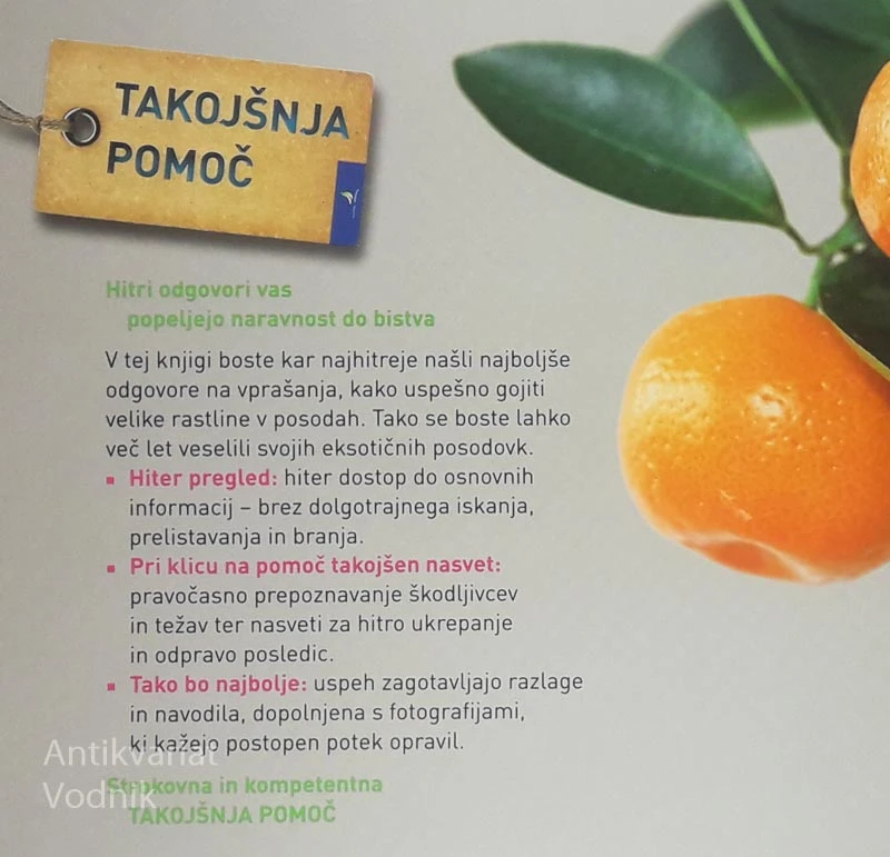 VELIKE POSODOVKE, Tanja Ratsch