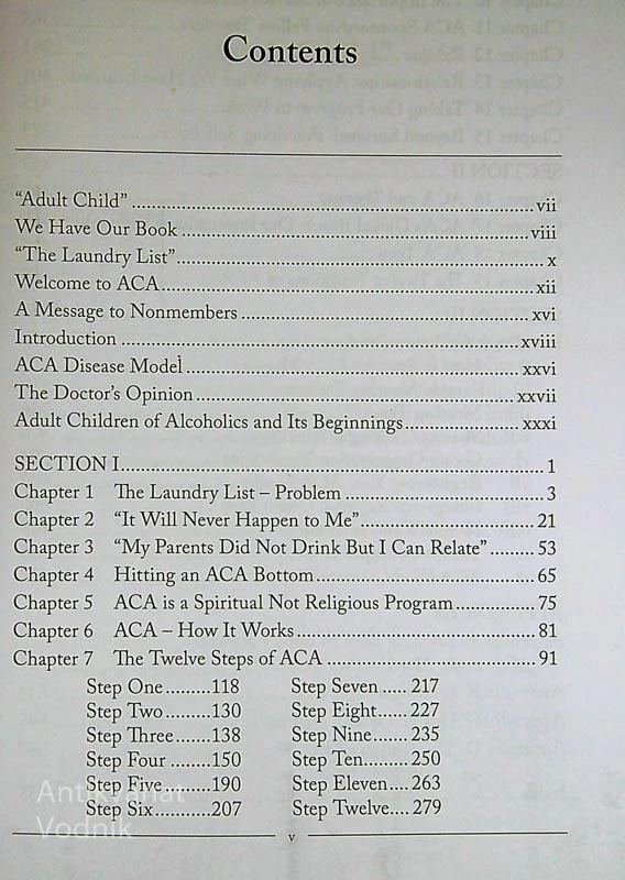 ADULT CHILDREN OF ALCOHOLICS / DYSFUNCTIONAL FAMILIES