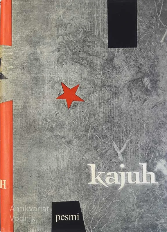 ZBRANO DELO: PESMI, Kajuh