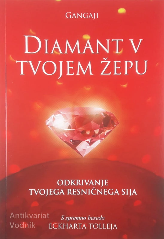 DIAMANT V TVOJEM ŽEPU, Gangaji