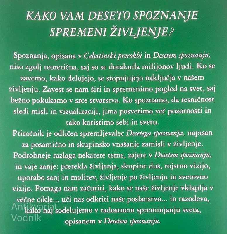 VODNIK PO DESETEM SPOZNANJU IN OHRANJANJU VIZIJE, James Redfield in Carol Adrienne