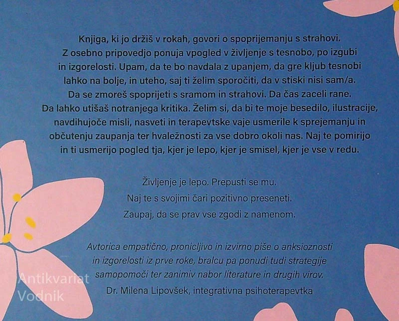 VSE JE V REDU, Vida Igličar