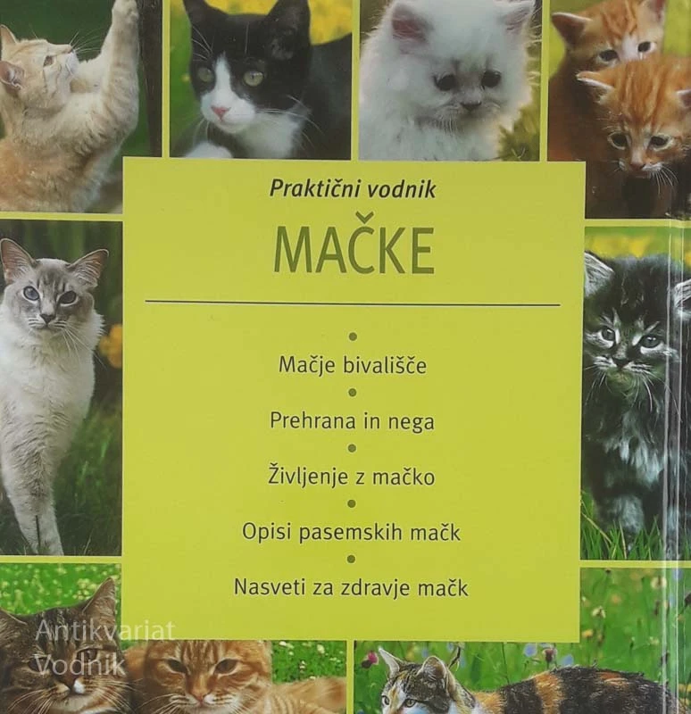 PRAKTIČNI VODNIK: MAČKE