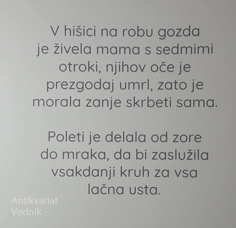KDO JE NAPRAVIL VIDKU SRAJČICO?, Fran Levstik (ilustrirala Dreja Novak)