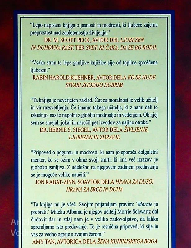 MODROST STAREGA UČITELJA, Mitch Albom