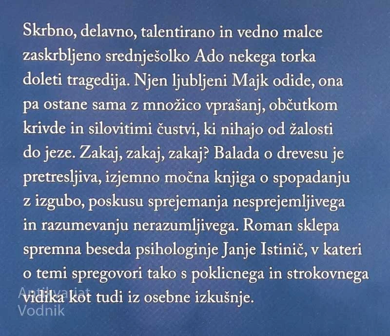 BALADA O DREVESU, Mateja Gomboc
