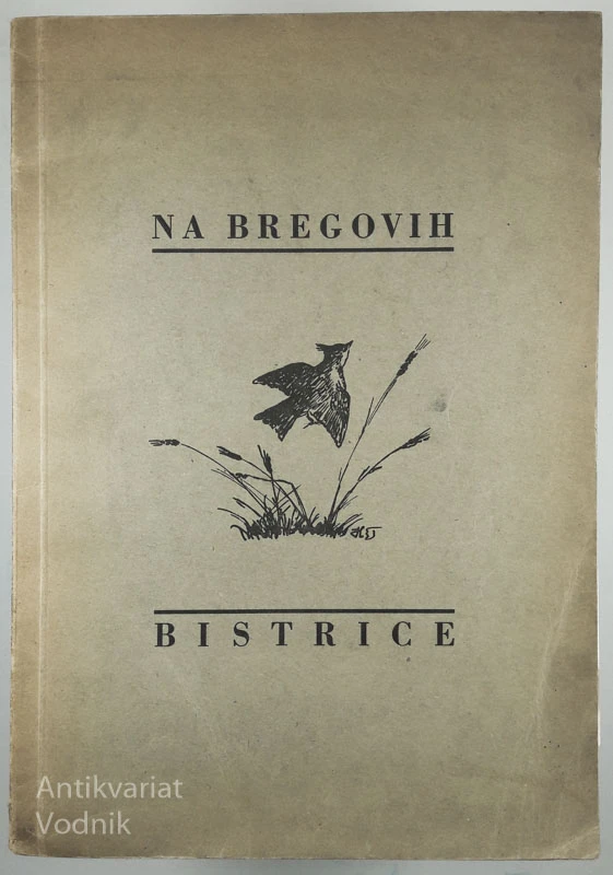 NA BREGOVIH BISTRICE