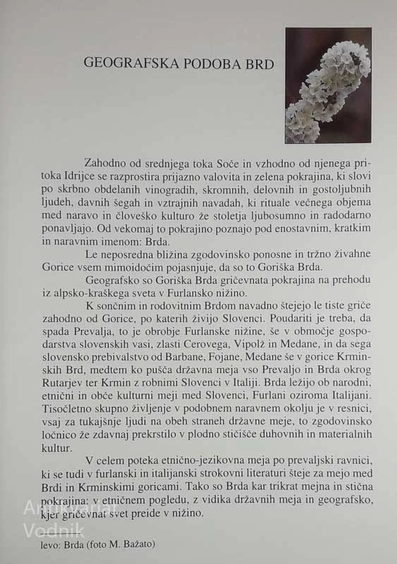 BRIŠKA KUHINJA, Magda Reja in Tatjana Sirk