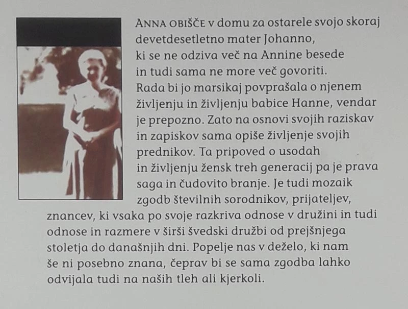ANNA, HANNA IN JOHANNA, Marianne Fredriksson