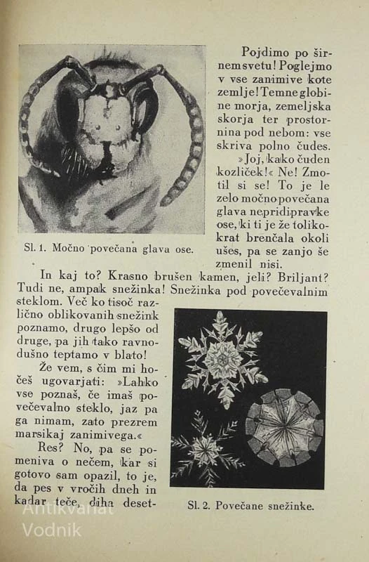 ČUDA NARAVE, Marija Ahačič