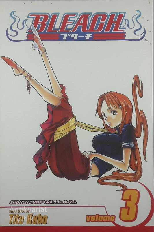 BLEACH, Tite Kubo (1 – 21)