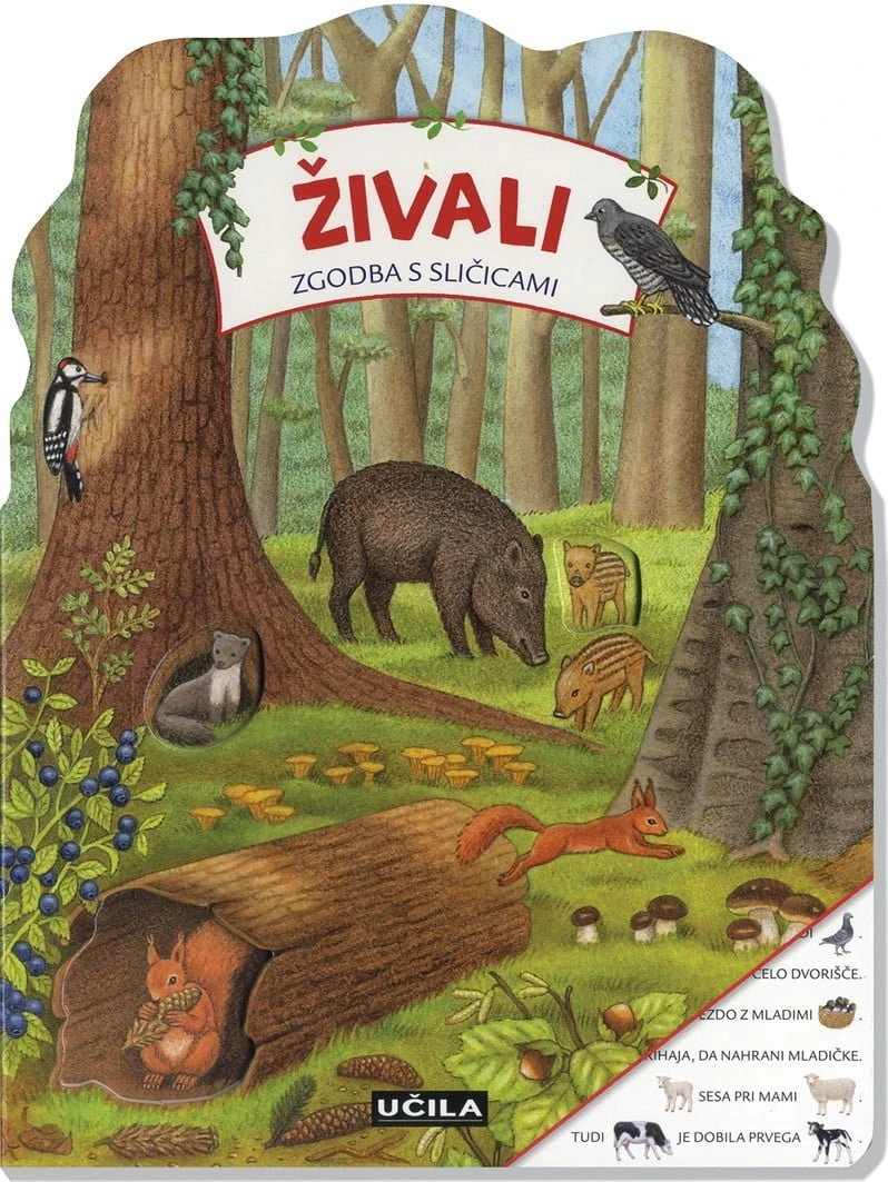ŽIVALI – ZGODBICA S SLIČICAMI,  Sybille Brauer