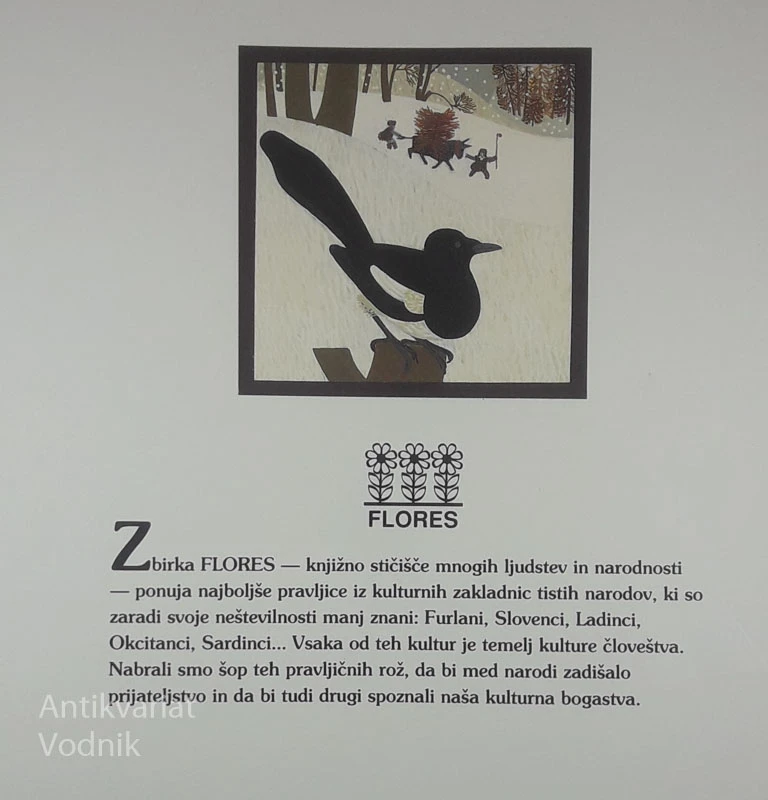 ZIMSKA PRAVLJICA, Mjuta Povasnica