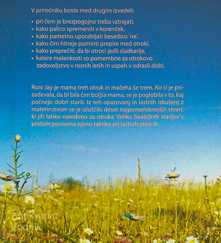 10 NAJPOMEMBNEJŠIH STVARI, KI JIH LAHKO NAREDITE ZA OTROKA, Roni Jay