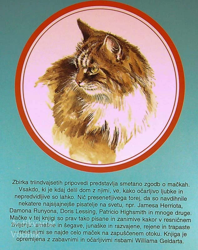NAJLEPŠE ZGODBE O MAČKAH, več avtorjev