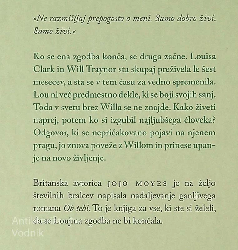 BREZ TEBE, Jojo Moyes