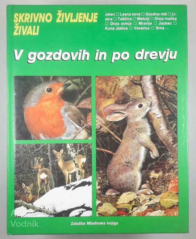 SKRIVNO ŽIVLJENJE ŽIVALI V GOZDOVIH IN PO DREVJU