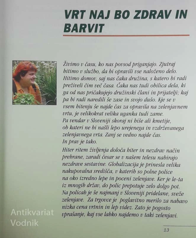 ZELENJAVNI VRT, Miša Pušenjak