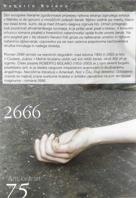2666, Roberto Bolaño