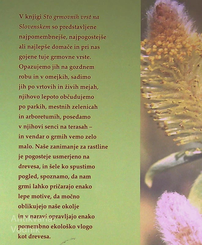 STO GRMOVNIH VRST NA SLOVENSKEM, Robert Brus