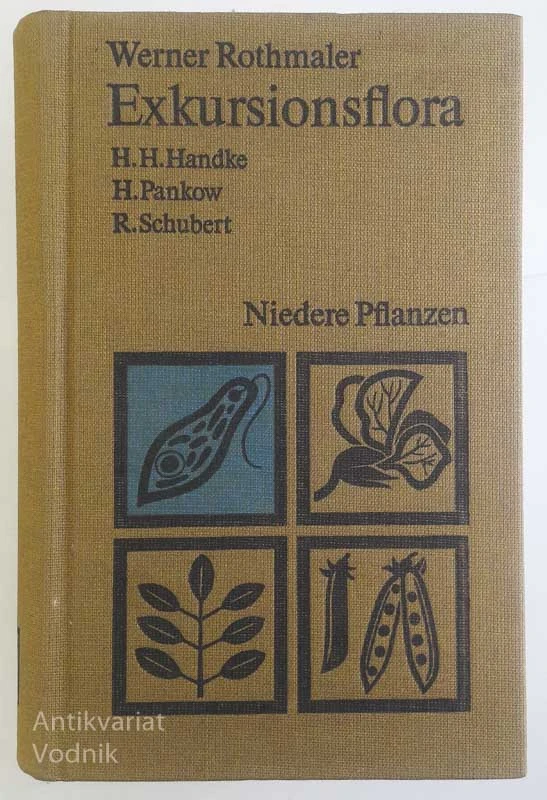 EXKURSIONSFLORA, Werner Rothmaler