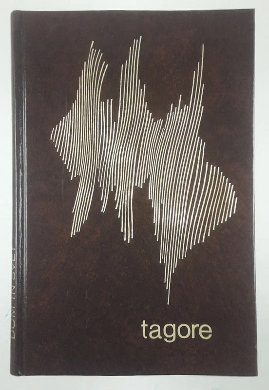 DOM IN SVET, Rabindranath Tagore
