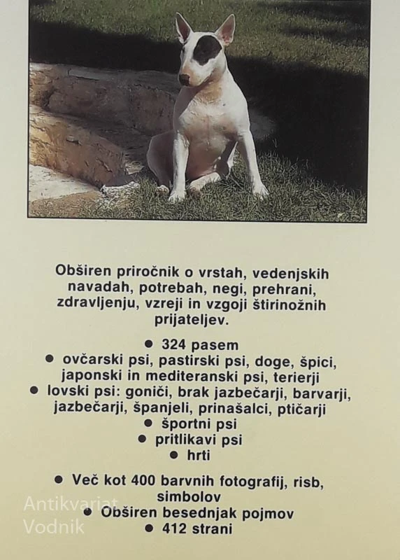 VSE O PSIH, Gino Pugnetti