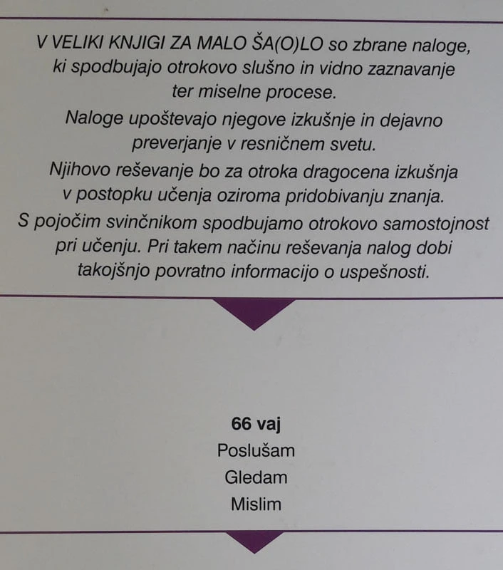 VELIKA KNJIGA ZA MALO ŠOLO, Bjelić Danila