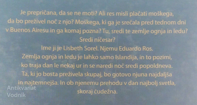 NOČ V REYKJAVIKU, Brina Svit