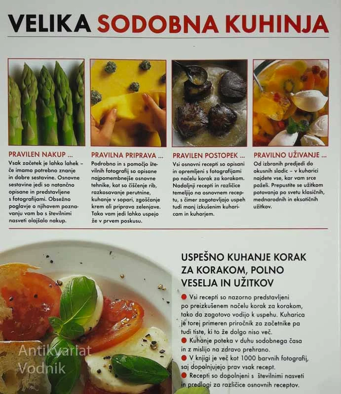 VELIKA SODOBNA KUHINJA: več kot 1000 receptov in nasvetov
