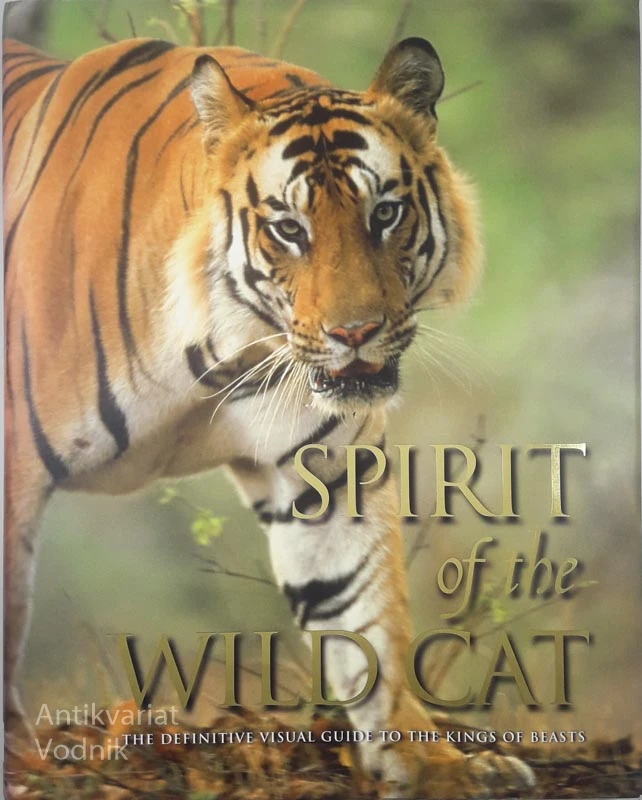 SPIRIT OF THE WILD CAT