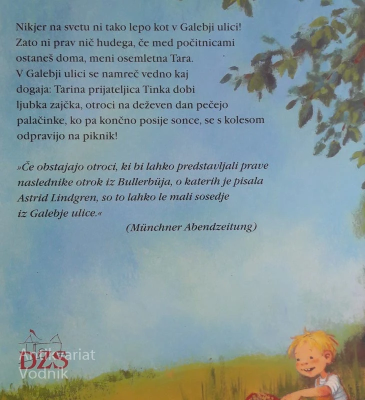 POLETJE V GALEBJI ULICI, Kristen Boie