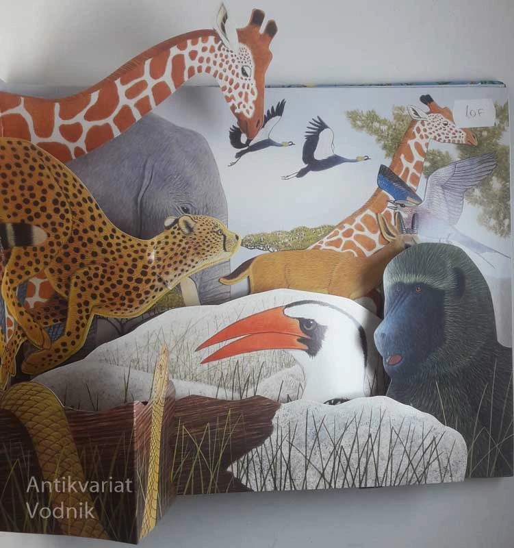 SAFARI; ZVOKI DIVJINE, Maurice Pledger