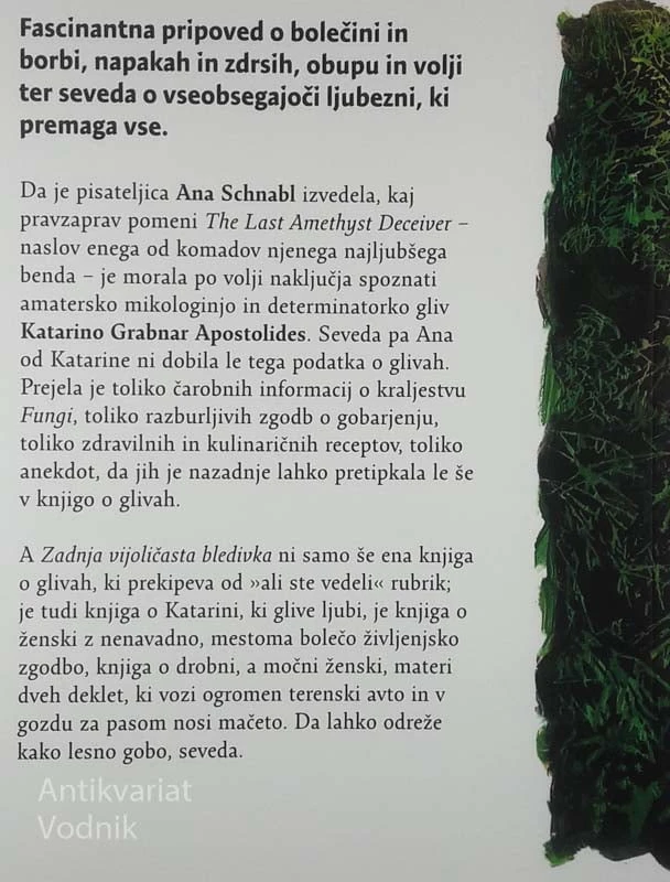 ZADNJA VIJOLIČASTA BLEDIVKA, Katarina Grabnar Apostolides in Ana Schnabl